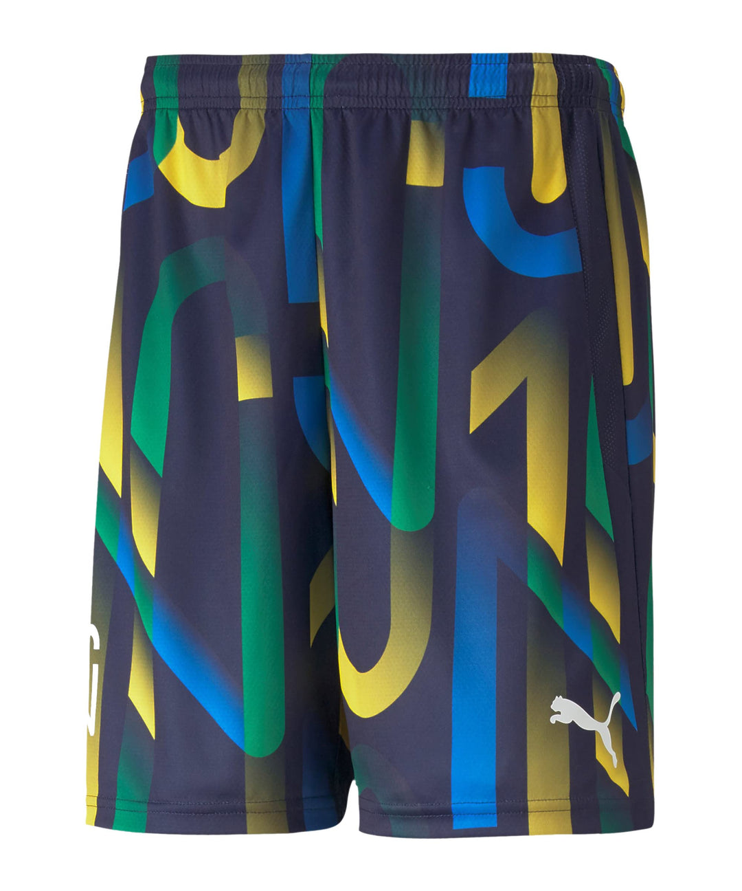 PUMA Fussball - Textilien - Shorts Future NJR Short 17 Multicolour, 17 Multicolour