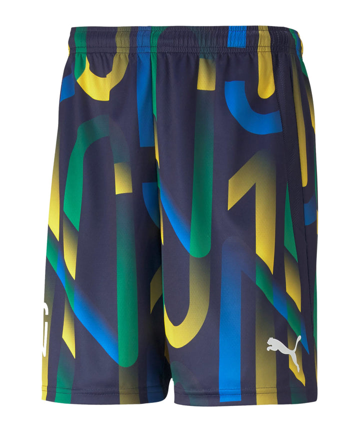 PUMA Fussball - Textilien - Shorts Future NJR Short 17 Multicolour, 17 Multicolour