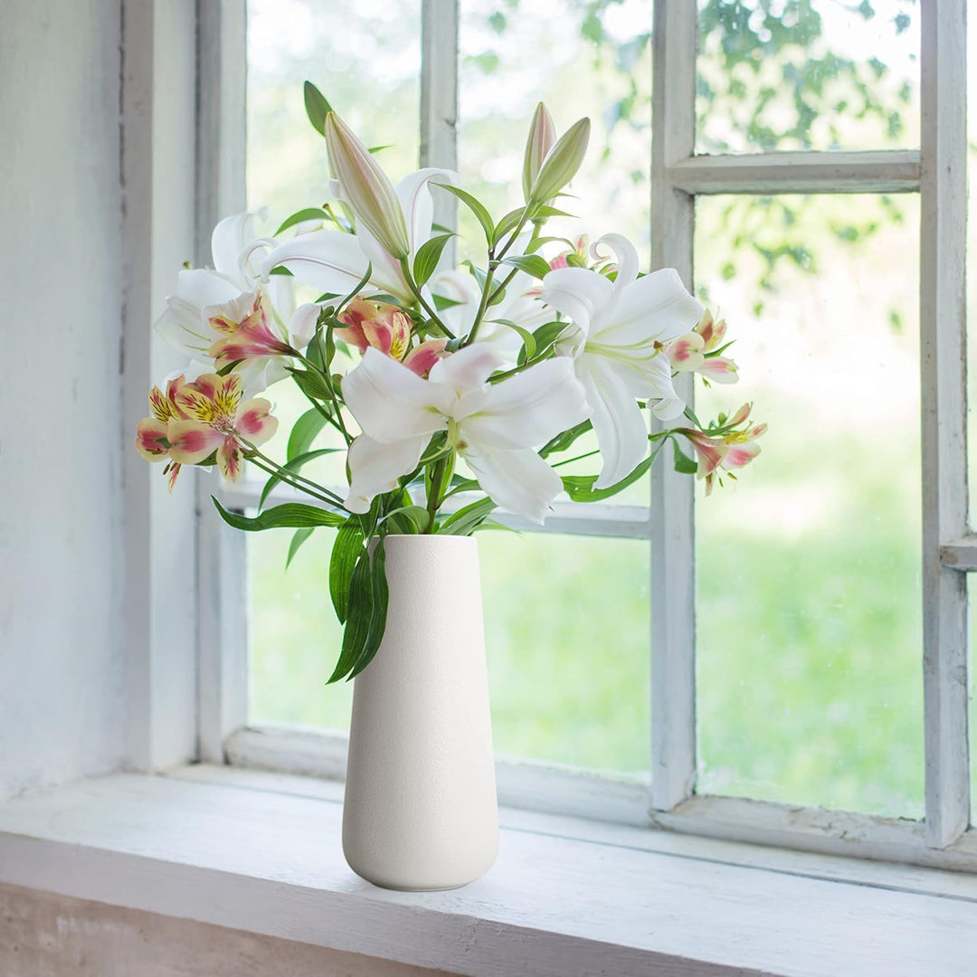 D 'vine DEV Geschenk-Box verpackt hoch weiss und schwarz Keramik Blumen Vasen - Home Decor Vase und