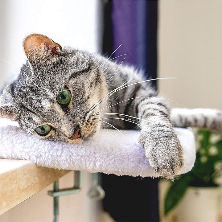 Pfotenolymp® Premium Selbstheizendes Liegebrett für Katzen am Fenster - Einzigartige Thermo Selbsthe