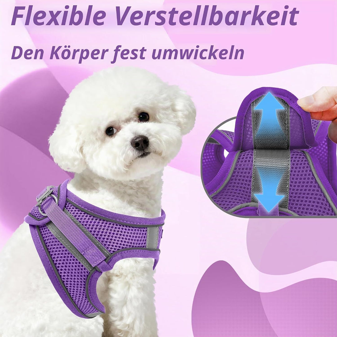 AIITLE Bequemes Hundegeschirr und Leine Set zum Gassi gehen - Step in Vest Harness, Reflektierende B