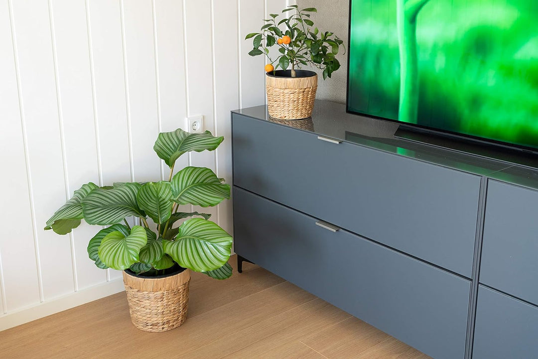 Decorasian 3er Set Blumentopf rund geflochten aus Seegras mit Kunststoffeinsatz zum bepflanzen - Pfl