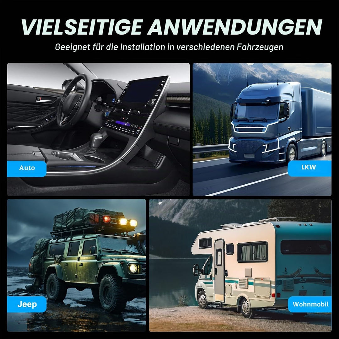 10 Zoll Schlanker Max 600W Subwoofer Aktiv Powered Untersitz-Auto Audio Subwoofer mit Eingebautem Ve