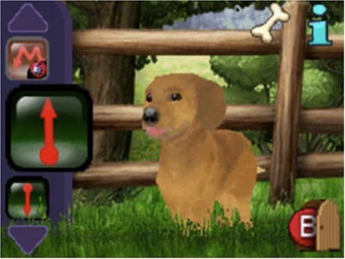 Best Friends - Hunde & Katzen [Software Pyramide]