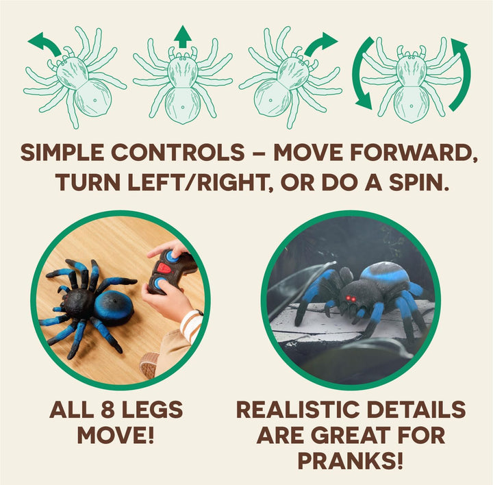 Terra Ferngesteuerte Spinne Blau – RC Vogelspinne mit leuchtenden LED Augen und Fernbedienung – Tara