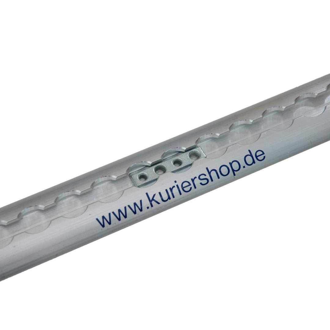 kuriershop 10 x Nutenstein mit M6 + M8 Gewinde für Airlineschiene, Stahl verzinkt