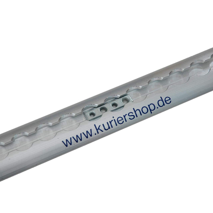 kuriershop 10 x Nutenstein mit M6 + M8 Gewinde für Airlineschiene, Stahl verzinkt