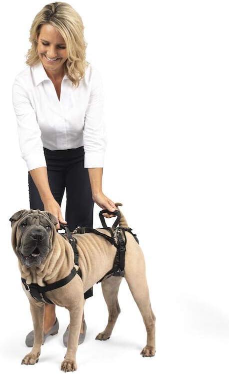 PetSafe CareLift Stützgeschirr – Ganzkörper-Hebehilfe mit Griff und Schultergurt – ideal für Haustie