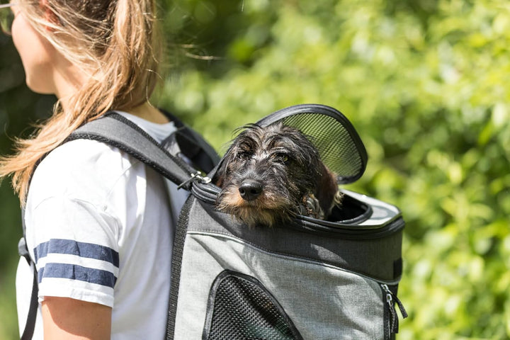 Trixie 28944 Rucksack Timon, 34 × 44 × 30 cm, schwarz/grau, 1 Stück (1er, schwarz/grau