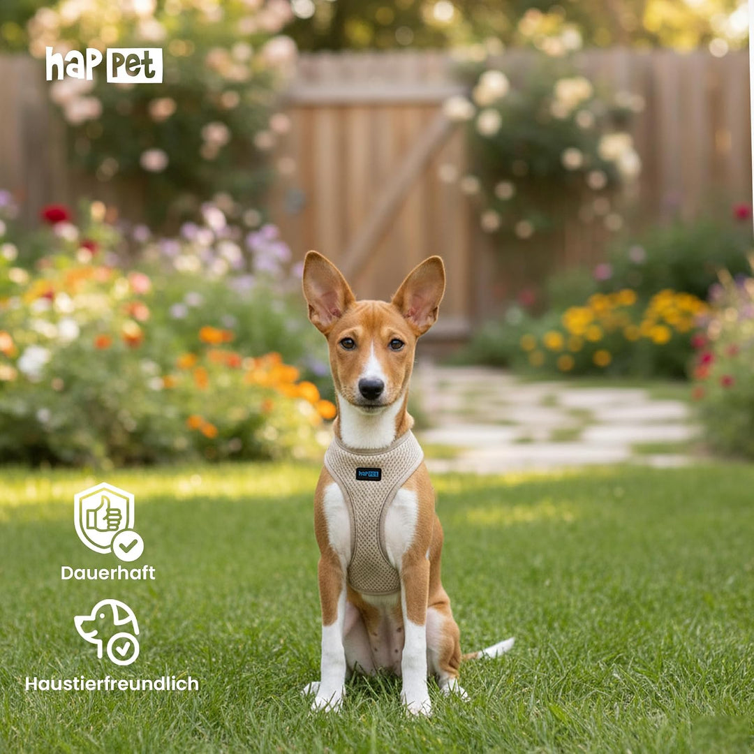Happet Hundegeschirr XS für kleine Hunde – atmungsaktives Air-Mesh Brustgeschirr, weich gepolstert,