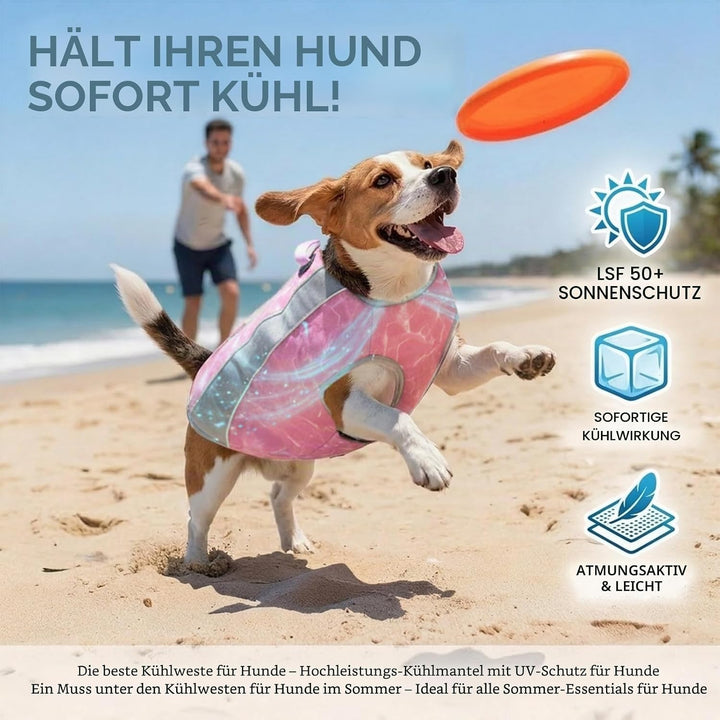 Hundekühlweste mit Geschirr, Outdoor-Welpenkühljacke mit verstellbarem Reissverschluss, reflektieren
