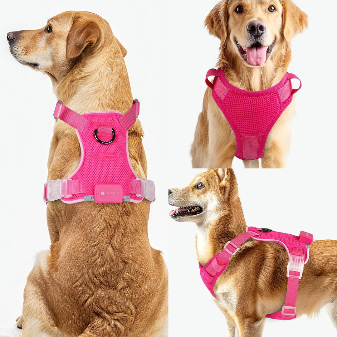 MASBRILL Hundegeschirr Leuchtend, LED Hundegeschirr Aufladbar & Einstellbar für Welpen Kleiner Mittl
