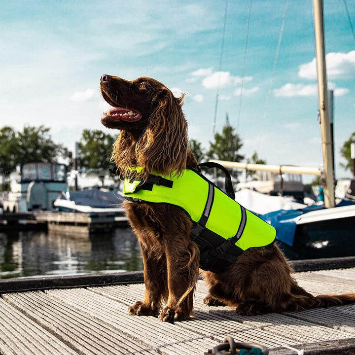Nobby Hunde Schwimmhilfe neon gelb Grösse: 3XL, 65 cm neon gelb 3XL, neon gelb 3XL