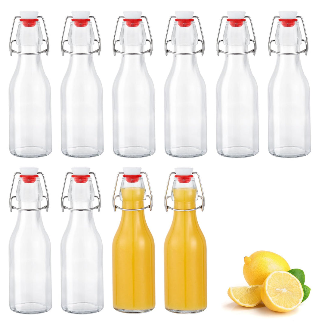 Zanfqvo Glasflaschen 250ml mit Bügelverschluss, 10 Stück Kleine Flaschen Zum Befüllen, Bügelflasche