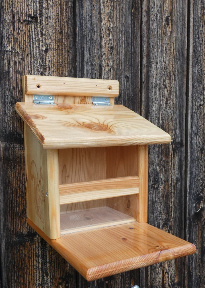 Mit tiefergesetzter Scheibe kein öffnen des Deckels durch das Eichhörnchen nötig, Eichhörnchenfutter