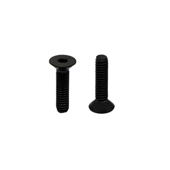 RISON-Titanum 10 Stück Titan Kleine Schrauben M2 M2.5, Winzige Mikroschrauben Set DIN7991, Uhrenbril