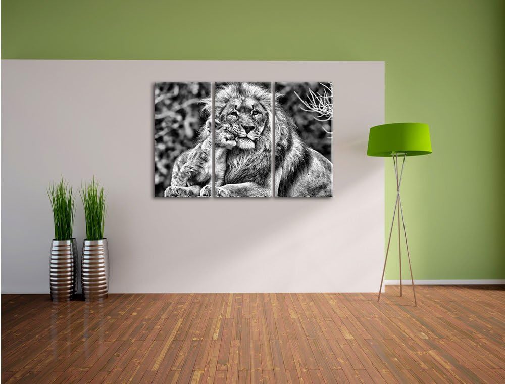 Pixxprint Monocrome, schöner Löwe mit Jungtier 3-Teiler Leinwandbild 120x80 Bild auf Leinwand