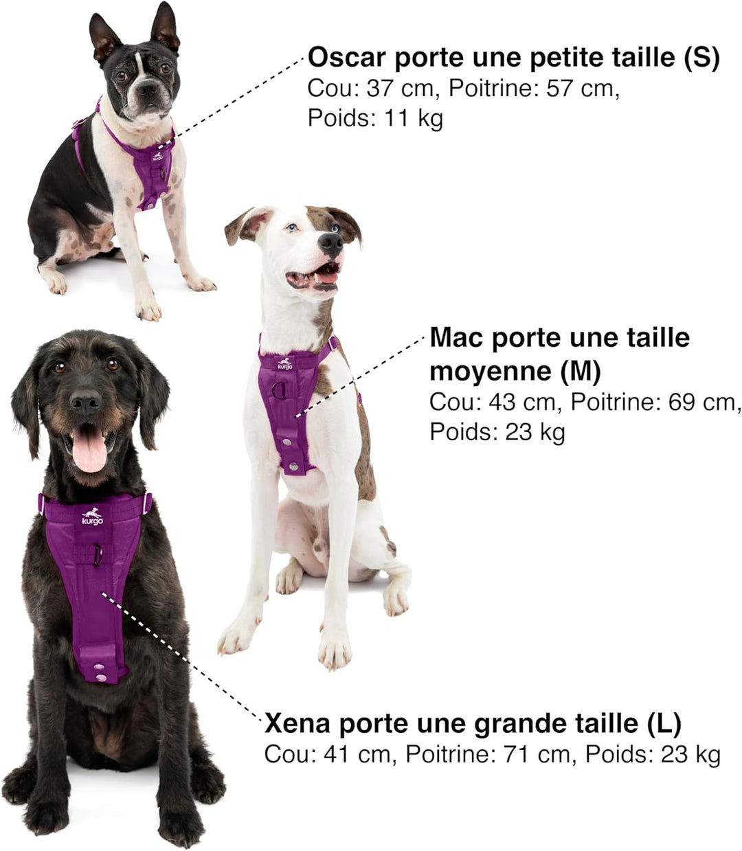 Kurgo Tru-Fit Hundegeschirr, Crash-Test-erprobtes Auto-Sicherheitsgurt, Für Hunde von 2 bis 5 kg, Gr