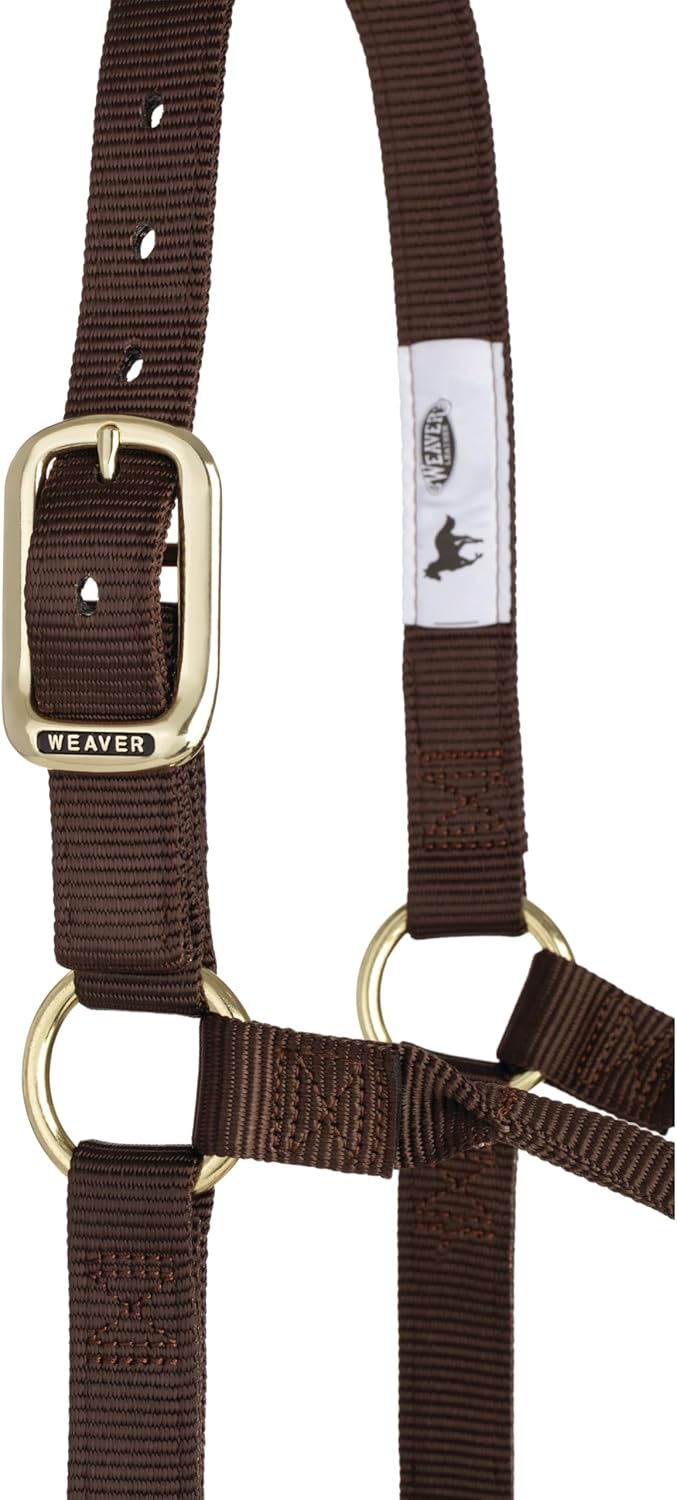 WEAVER Leather, Nicht verstellbares Halfter Braun Average Horse, Braun Average Horse