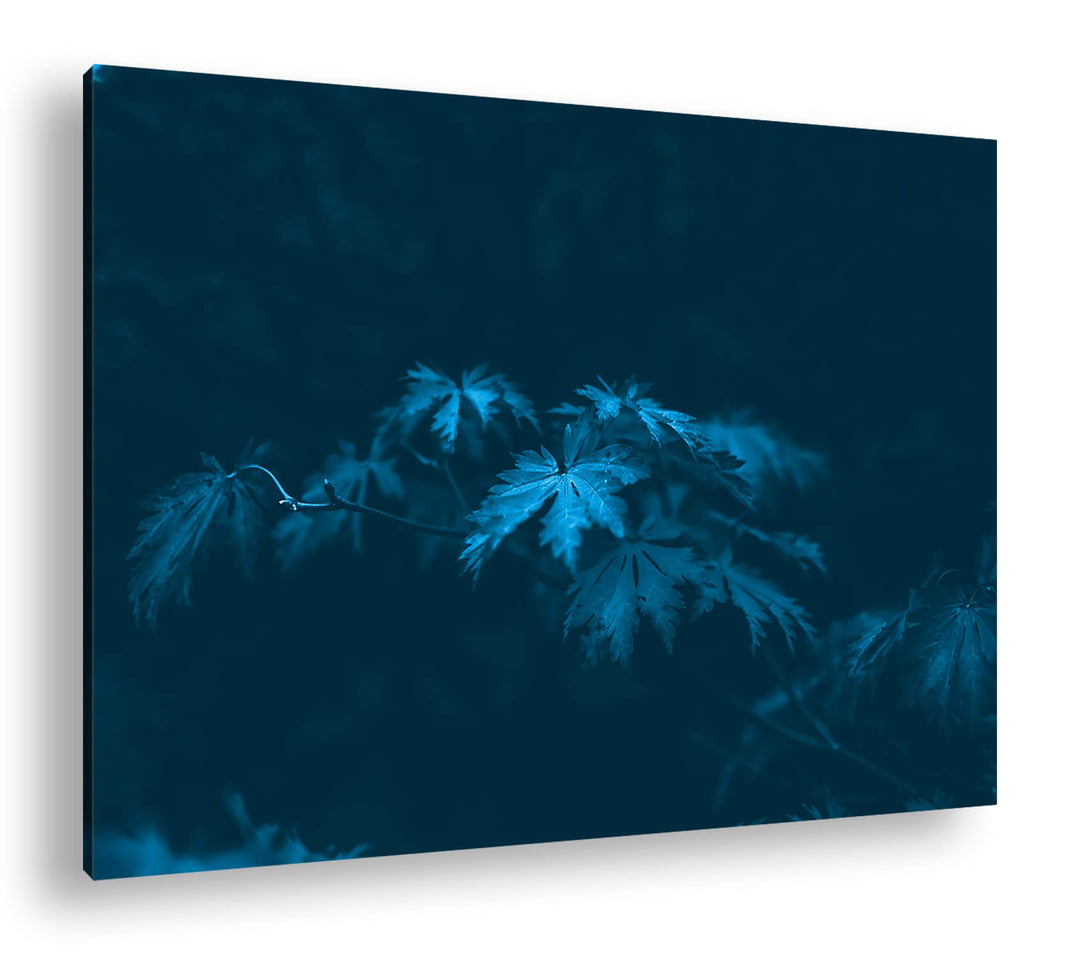 deyoli bezaubernder roter Ahornzweig Format 80x60 Effekt: Monocrome Blau als Leinwandbild, Motiv fer