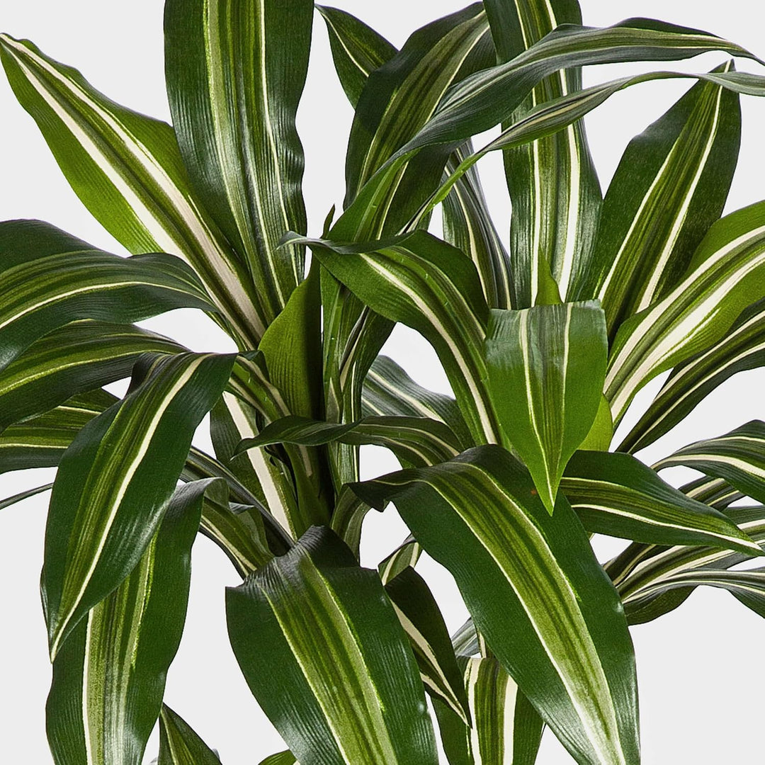 artplants.de Deko Dracaena Fragrans Staude, weiss - grün, 120cm | naturgetreuer Kunstbaum - Künstlic