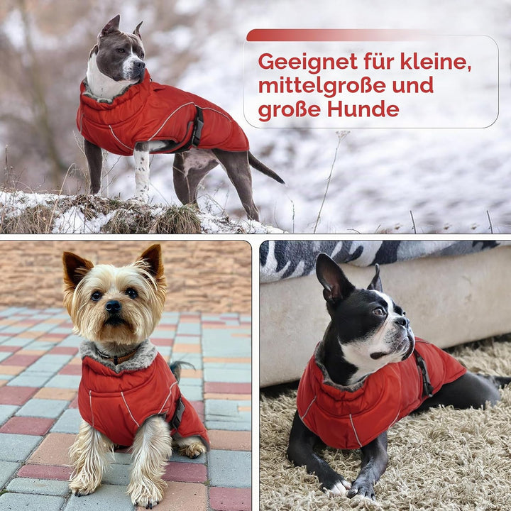 Hundemantel Wasserdicht, Wintermantel für Kleine Hunde Winter Hundejacke Hundeweste Kleine Hunde War