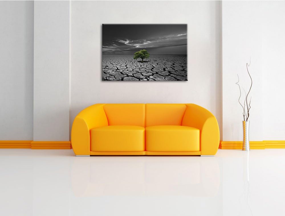 einsamer Baum auf ausgetrocknetem Boden schwarz/weiss Format: 100x70 auf Leinwand, XXL riesige Bilde