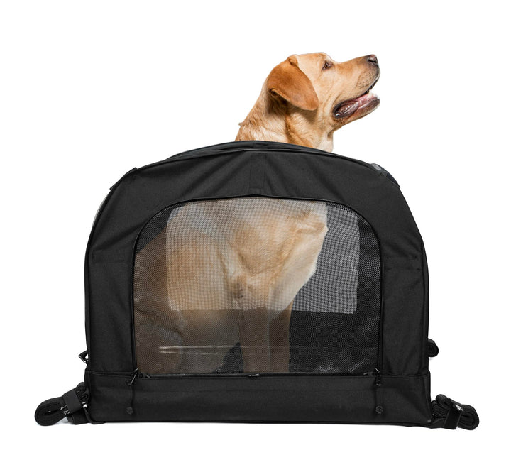 DEEMEED PETBAG Motorrad Tasche für Hunde und Katzen (2-36 kg), wasserdicht, tragbar, dreifach belüft