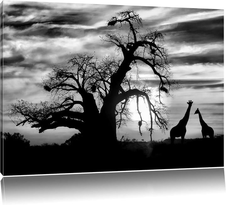 Pixxprint Monocrome, Zwei Giraffen in der Wüste, Format: 100x70 auf Leinwand, 100x70