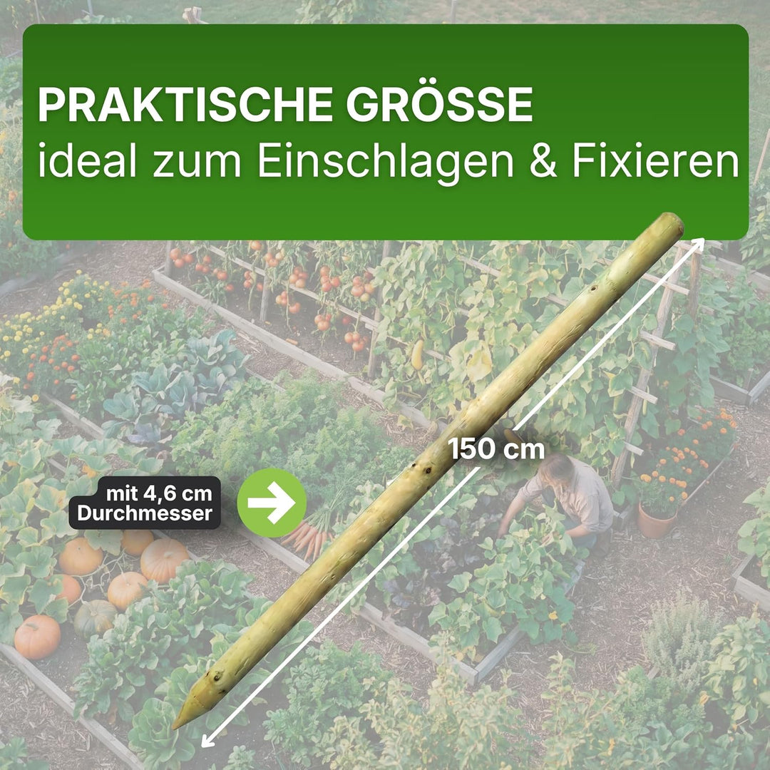Gartenwelt Riegelsberger Pfahl Ø 4,6 cm Länge 150 cm 5 Stück Holzpfahl Kiefer imprägniert Kiefernhol