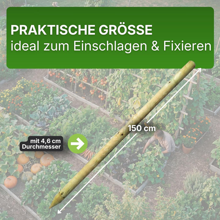 Gartenwelt Riegelsberger Pfahl Ø 4,6 cm Länge 150 cm 5 Stück Holzpfahl Kiefer imprägniert Kiefernhol