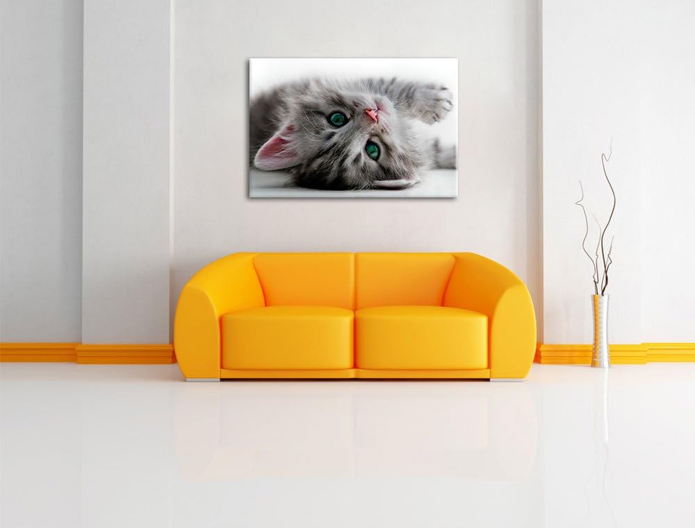 Süsses Katzenbaby, Format: 100x70 auf Leinwand, XXL riesige Bilder fertig gerahmt mit Keilrahmen, Ku