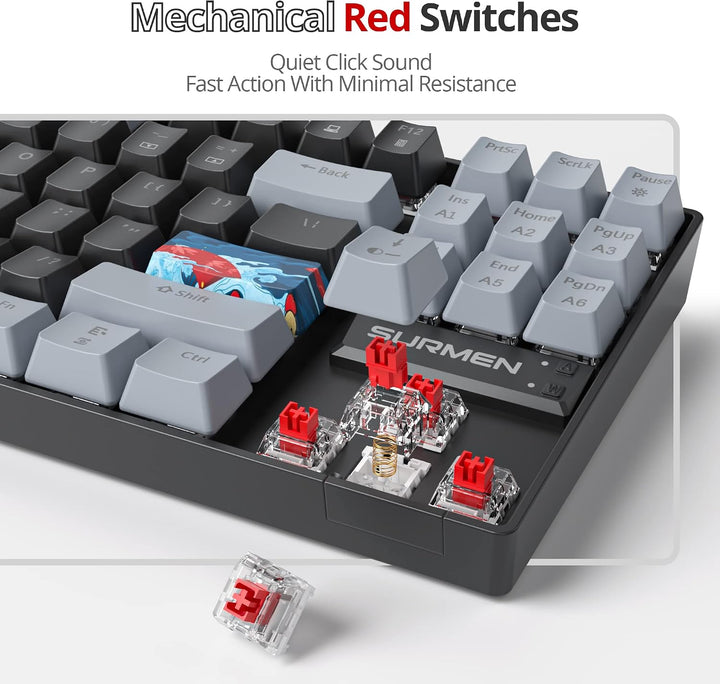 SOLIDEE Tragbare 80% mechanische Gaming-Tastatur,87 Tasten kompakte RGB LED-Hintergrundbeleuchtung,k