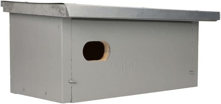 Nistkasten - Einzelner klassischer Premium Mauerseglerkasten Zur Aufputzmontage MKW Nr 2 - Stabiler