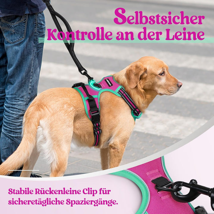 rabbitgoo Hundegeschirr Mittelgrosse Hunde, Anti Zug Geschirr mit Kontrolle, No Pull Verstellbar Hun