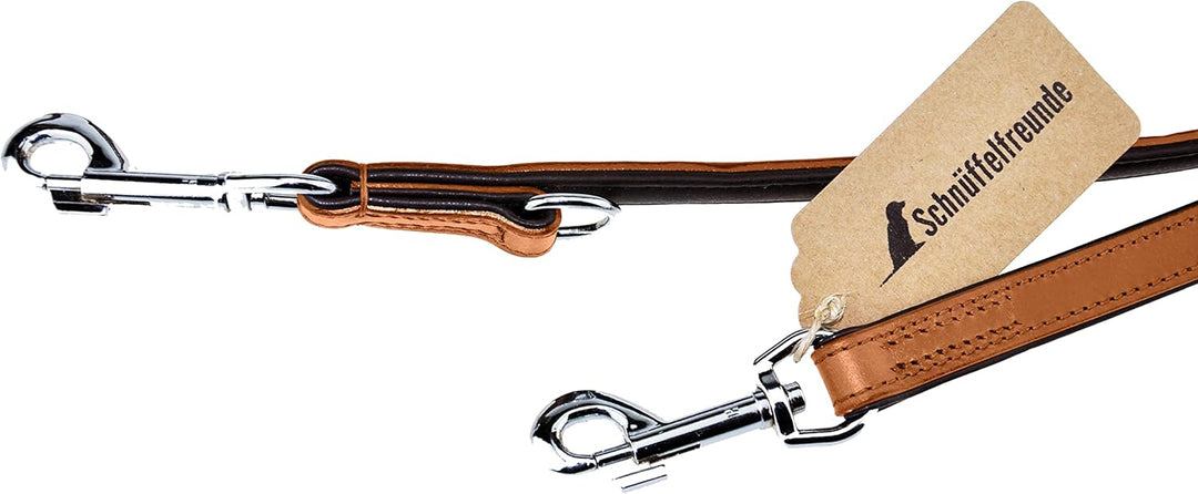 Hundeleine aus Leder - Trainingsleine - Lederleine für den Hund - Leine 3-Fach verstellbar, für alle