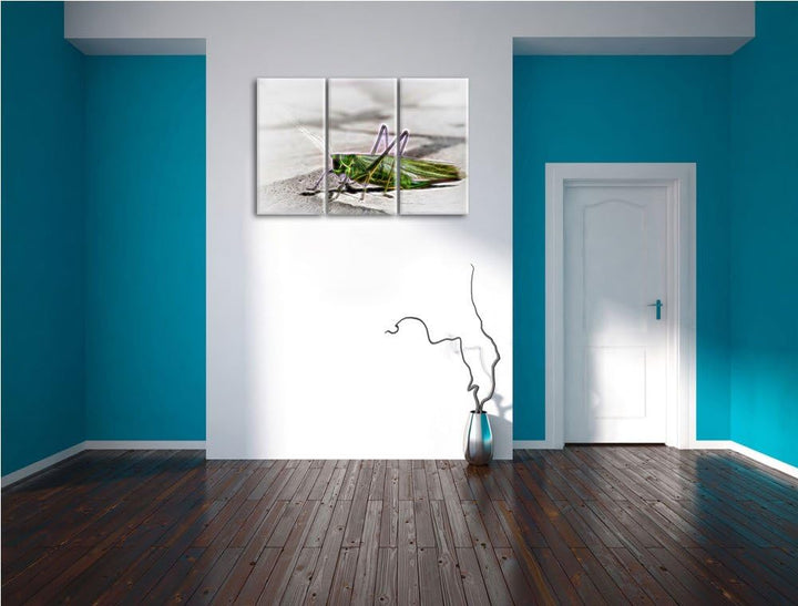 elegante Heuschrecke NewArt 3-Teiler Leinwandbild 120x80 Bild auf Leinwand, XXL riesige Bilder ferti