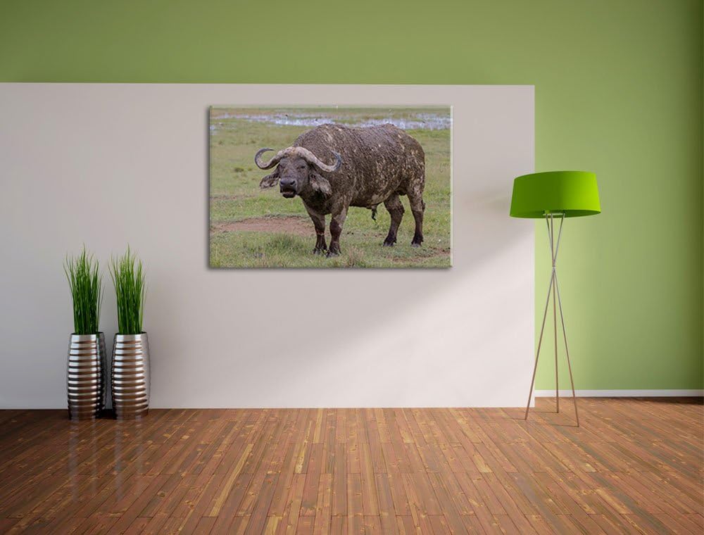 Schlamm verschmierter Kaffernbüffel Leinwand, XXL riesige Bilder fertig gerahmt mit Keilrahmen, Kuns