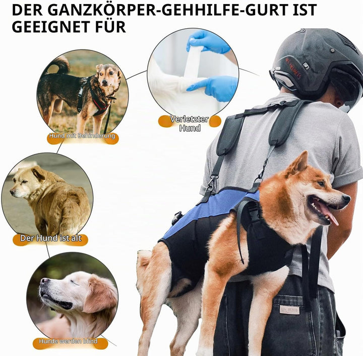 PETCUTE Hunde-Tragegeschirr,Hundegeschirr-Rucksack für grosse Hundes,Ganzkörpergeschirr mit Griff,Ve