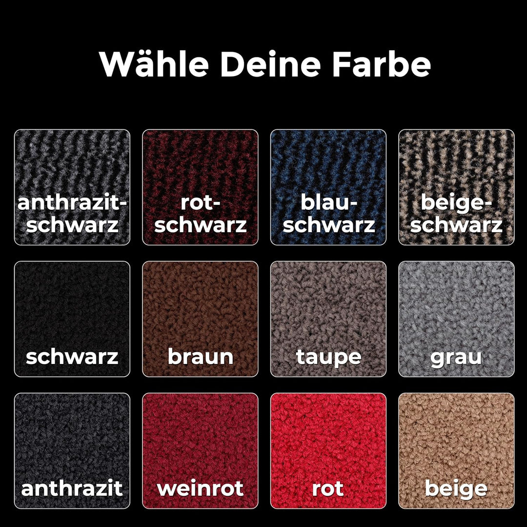 Carpet Diem Rio C Schmutzfangmatte - 5 Grössen - 10 Farben Fussmatte mit äusserst starker Schmutz un