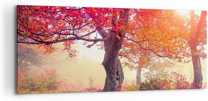 Wandbilder Dekoration Wohnzimmer Baum Natur Wiese Panorama Bilder auf Leinwand 120x50cm Leinwandbild