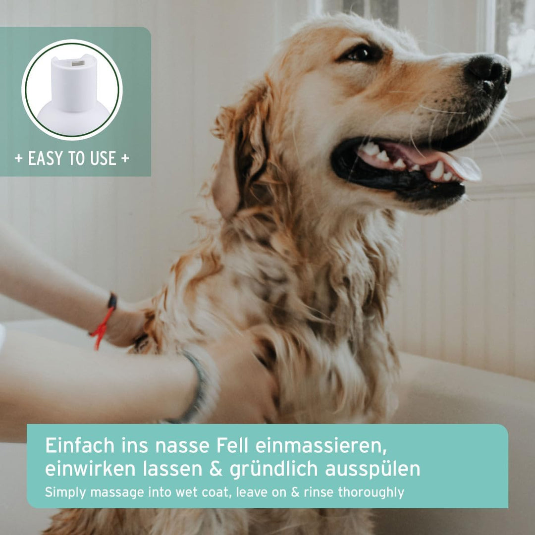 AniForte Fellharmonie Hundeshampoo mit Kokosöl & Aloe Vera 200ml – Pflegeshampoo für Hunde, Vitale H