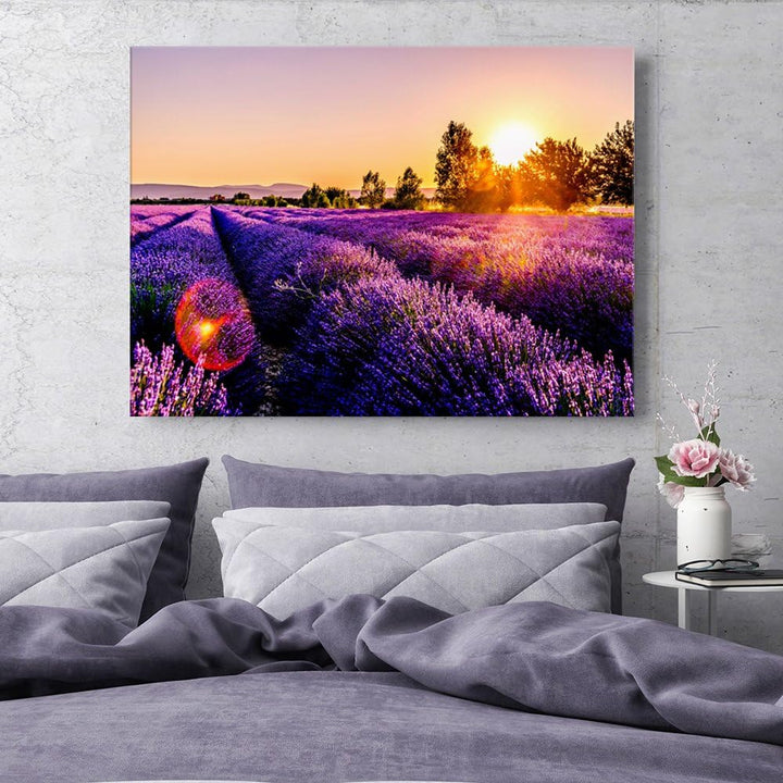 Feeby. Wandbilder - 1 Teilig- 50x70 cm - Bilder Kunstdrucke Deko Panel, Wiese, Lavendel, Natur, VIOL