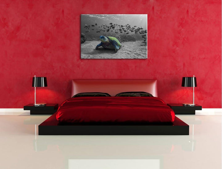 Schildkröte im Ozean schwarz/weiss Format: 100x70 auf Leinwand, XXL riesige Bilder fertig gerahmt mi