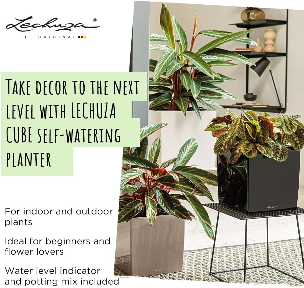 LECHUZA CUBE Premium 30 anthrazit metallic 16463 29.5x29.5x30 cm Anthrazit Metallic, 29.5x29.5x30 cm