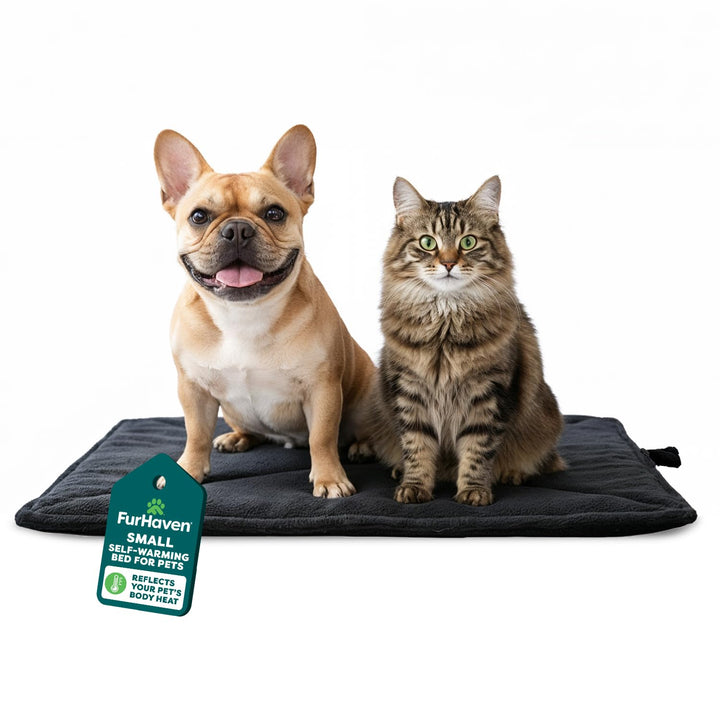 Furhaven Small Cat Bed ThermaNAP Quilted Faux Fur Self-Warming Pad, Washable - Black, Small Black L