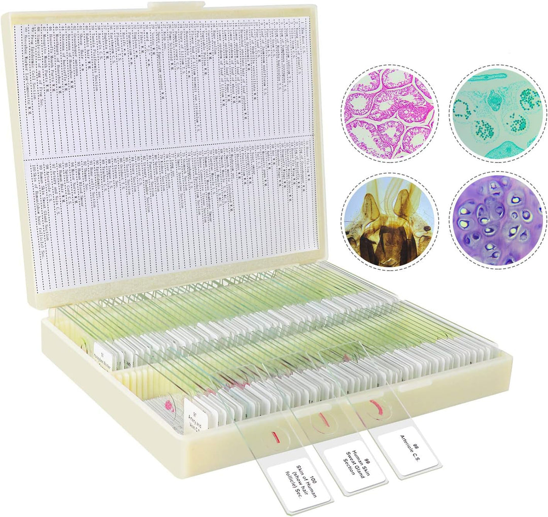 100P Mikroskop Objektträger mit biologischen Proben,Tiere, Insekten, Pflanzen, menschliches Gewebe,
