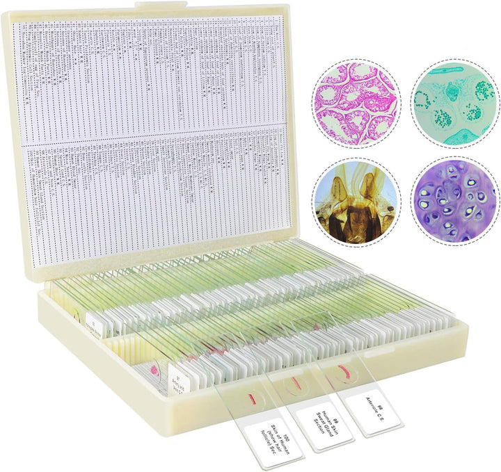 100P Mikroskop Objektträger mit biologischen Proben,Tiere, Insekten, Pflanzen, menschliches Gewebe,