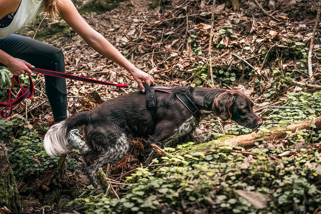 JK9 Speed Hundegeschirr, Grösse: L, Rot Rot L, Rot L