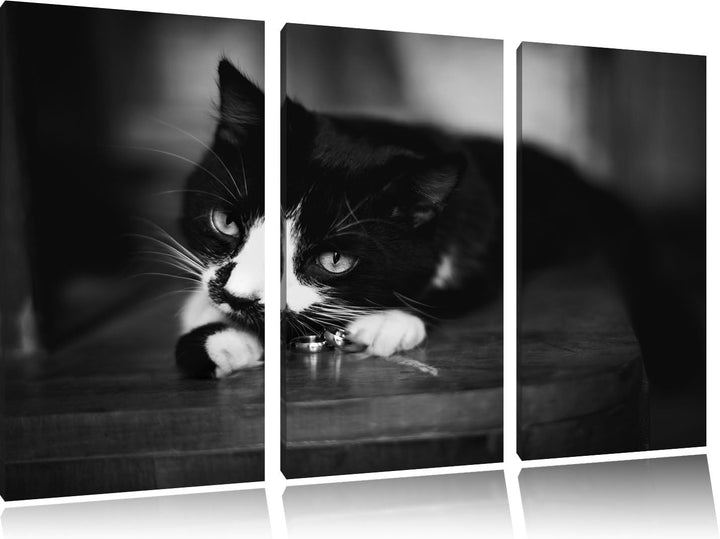 Schwarze Katze spielt mit Ehering B&W Detail 3-Teiler Leinwandbild 120x80 Bild auf Leinwand